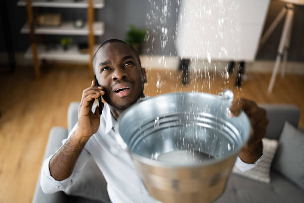 Best Flooded house restoration  in Lodi, WI