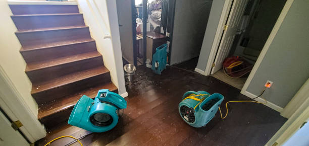 Best Water damage restoration near me  in Lodi, WI