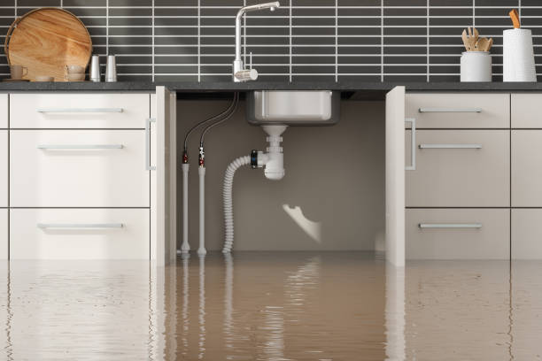 Best Professional water damage repair  in Lodi, WI