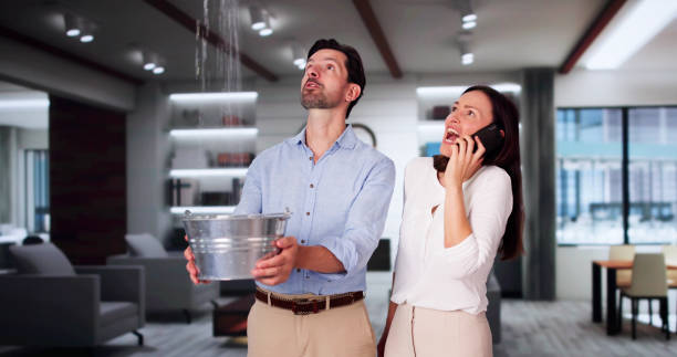 Best Water damage repair service  in Lodi, WI